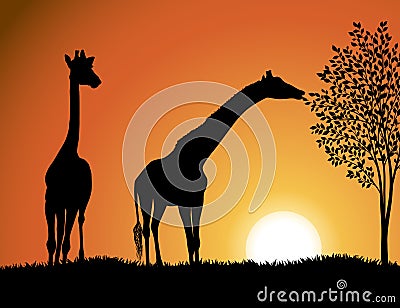 Giraffes in Africa background vector Vector Illustration