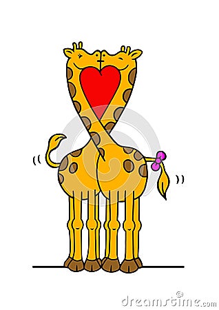 Giraffes in love kiss with their necks bent, with a lot of energy and power Stock Photo