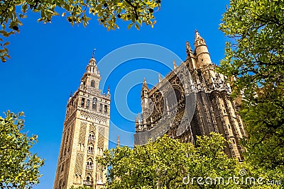 Giralda and roof of the Sevilla Cathedral Stock Photo