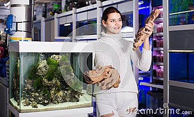 Girl in aquarium shop choosing brown petrous wood for aquarium decoration Stock Photo