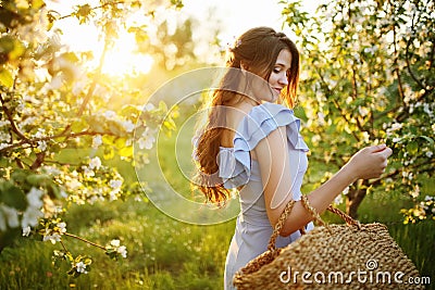 Girl with a basket in her hands stands at sunset in a flowering garden Stock Photo