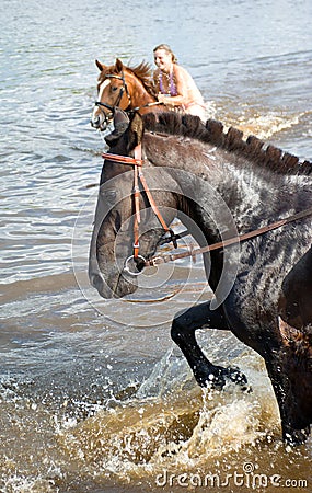 Girl bathe horse in a river. Stock Photo