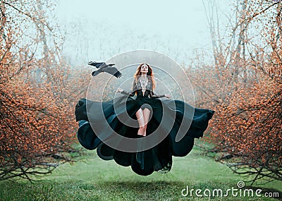 Girl with bright red hair levitates above ground, powerful sorceress, forest goddess in black flying dress with lace on Stock Photo