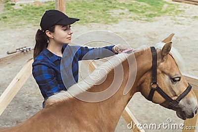 Girl Brushing Blonde Mane Of Her Flaxen Horse Outside The Stable During Daytime Stock Photo
