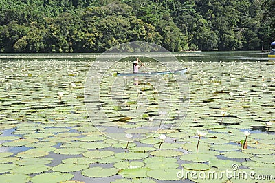 Girl on canoe at isla de las flores on river Dulce Editorial Stock Photo