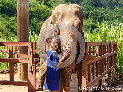 Girl caresss an elephant at sanctuary in Chiang Mai Thailand Stock Photo