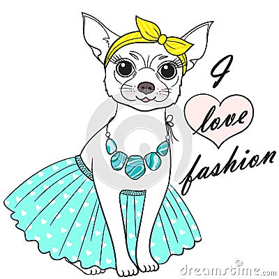 Girl chihuahua vector illustration. Cute fashionable dog sketch. Vector Illustration