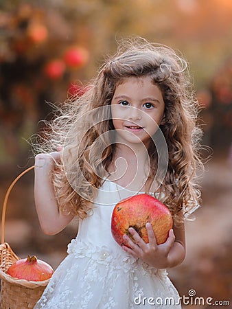 Girl child in a pomegranate garden with a basket full of pomegranates. Stock Photo