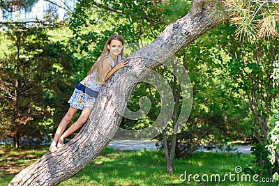 Girl climbed a tree playing in a city park Stock Photo