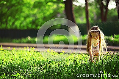 Girl collects flowers Stock Photo
