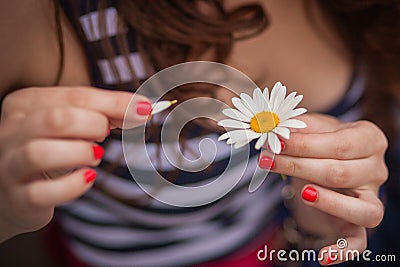 Girl, daisy, petals, Stock Photo