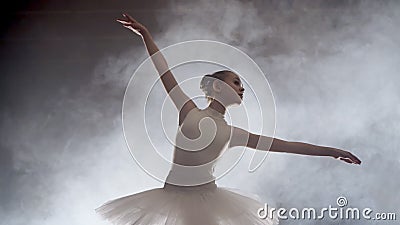 Haiku Skære af Hane Ballet Stock Footage & Videos - 17,839 Stock Videos