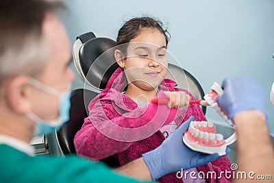 Girl in dentist chair is educating about proper tooth-brushing by her dentist, using dental jaw model and toothbrush Stock Photo