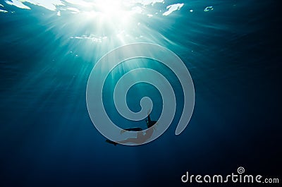 Girl dive underwater Stock Photo