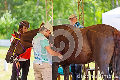 Girl doctor examines the horse at the competition. Moscow Russia July 1, 2023 Editorial Stock Photo