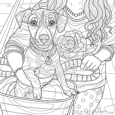 Girl with a dog in a bicycle basket.Jack Russell.Coloring book antistress for children and adults. Vector Illustration