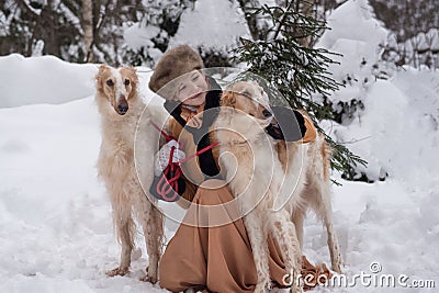 Girl with dogs in the winter Stock Photo