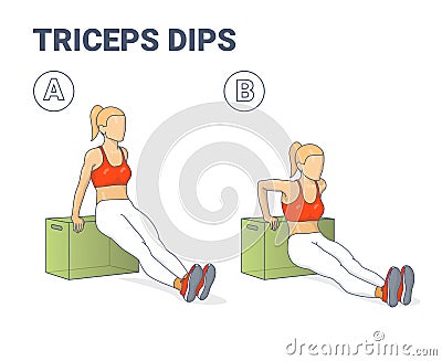 Girl Doing Triceps Dips Exercise Illustration. Colorful Concept of Girl Weight Loss Workout. Vector Illustration