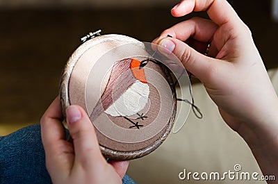 Girl embroiders a bird with a stitch. DIY concept, Hobbies, creativity, clothing and interior decoration Stock Photo