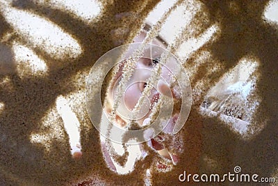 Sand therapy for the development of fine motor skills, children`s hands draw with sand Stock Photo