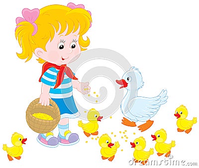 Girl feeding ducklings Vector Illustration