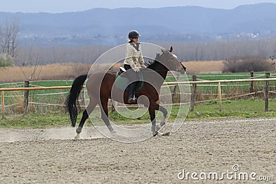 The girl gallop on the horse in the riding school Stock Photo