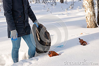 Girl with a garbage bag in the winter forest Stock Photo