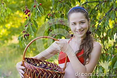 Girl in garden with a sweet cherry basket Stock Photo