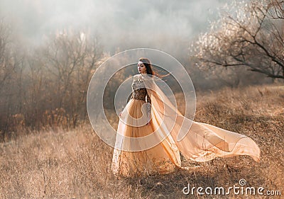 Girl in golden dress Stock Photo