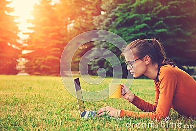 Girl in grass using laptop typing Stock Photo