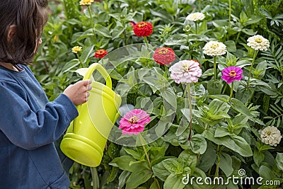 Watering flowers in garden Stock Photo