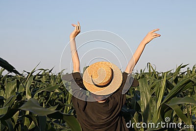 Cornfield, maze, girl in a straw hat Stock Photo