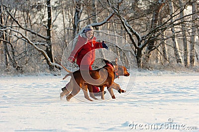 Girl with her dogs in snow Stock Photo