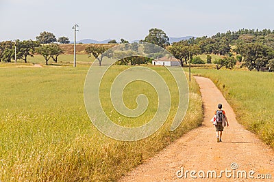 Girl hiking in Farm field with wheal plantation and trees in Va Editorial Stock Photo