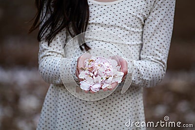 Girl holdig white - pink almond flowers Stock Photo