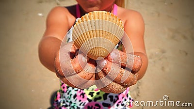 Close up of a shell Stock Photo