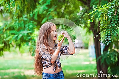 The girl is holding a grapes, a focus on green grapes. Beautiful little farmer girl eating organic grapes. The concept of harvest. Stock Photo