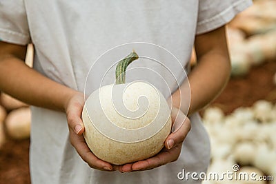 Girl holding medium sized white pumpkin Stock Photo
