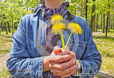 girl holding three dandelion flowers in her hands Stock Photo