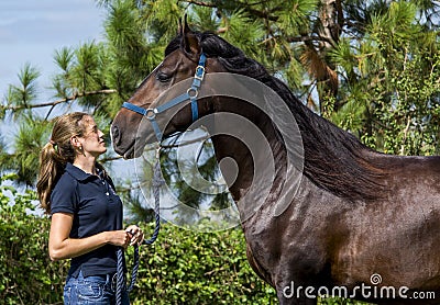 Girl and Horse Stock Photo