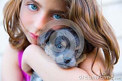 Girl hug a little puppy dog gray hairy chihuahua Stock Photo