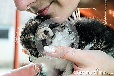 Girl kisses a small kitty Stock Photo