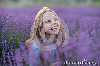 Girl lavender sunset. Girl in blue dress with flowing hair walk on the lavender field. Stock Photo