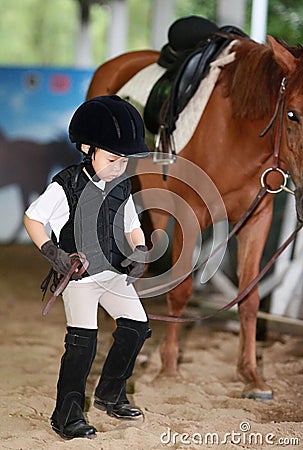 Girl leading a horse Stock Photo