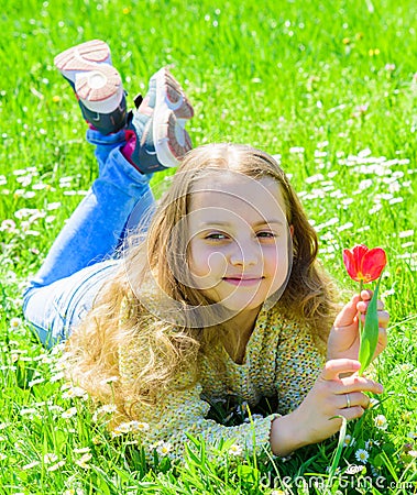 Girl with long hair lying on grassplot, grass background. Spring mood concept. Girl on smiling face holds red tulip Stock Photo