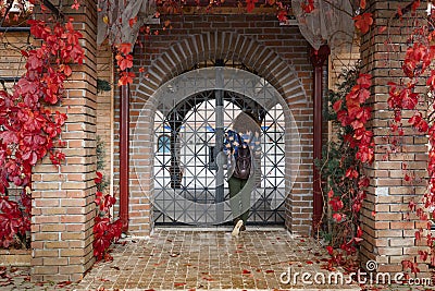 Girl looking inside from Decorative arched iron gateway through brick door Stock Photo