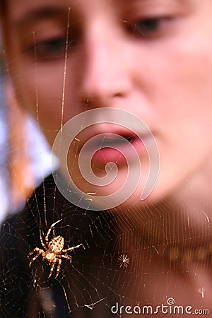 Girl looking at spider web Stock Photo