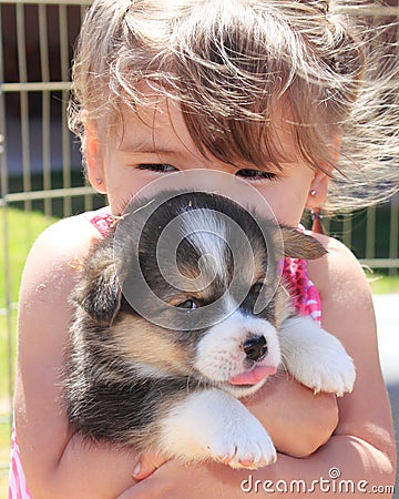 Girl Loving Puppy to Death Stock Photo