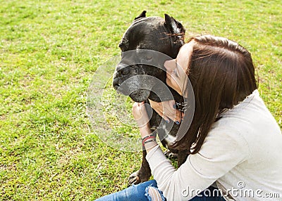 Girl in the park walking with their big dog Cane Corso Stock Photo