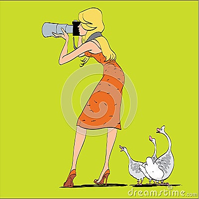 Girl photographer and geese in nature Vector Illustration